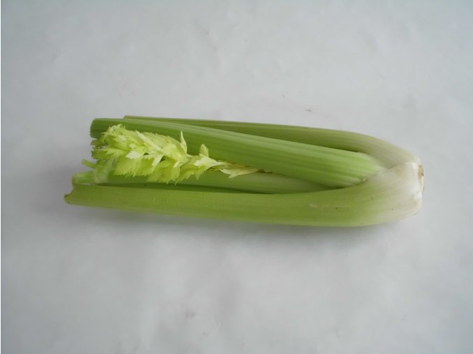 BIO celer řapíkatý