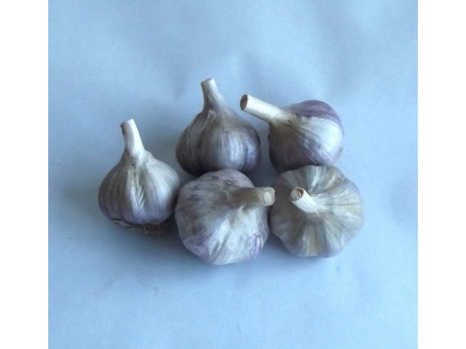 BIO česnek 150 g