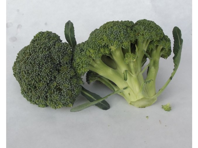 BIO brokolice