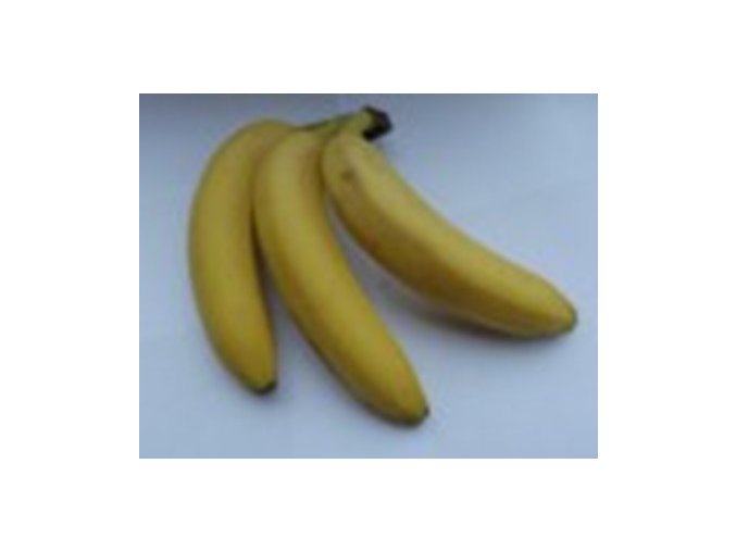 BIO banány
