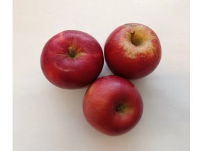 Bio jablka Blaník 1 kg