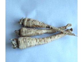 Bio petržel 0,5 kg