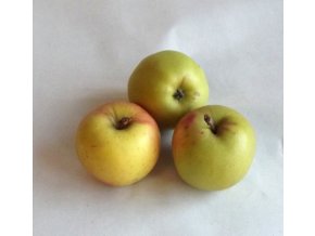 BIO jablka Luna 1 kg