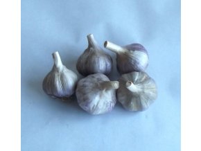 BIO česnek 150 g