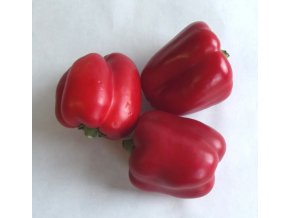 BIO paprika červená