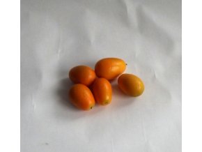 Bio kumquat