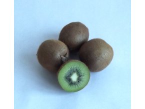 BIO kiwi