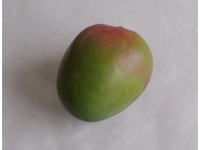 BIO mango Osteen