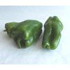 BIO paprika zelená