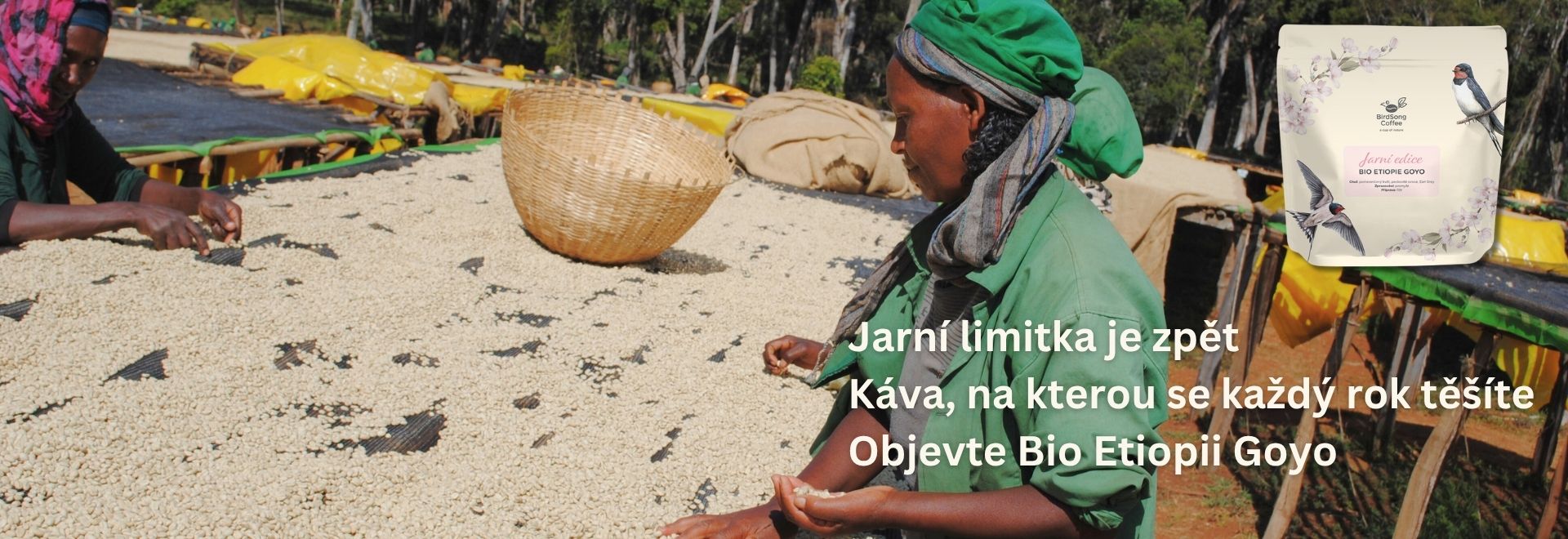 JARNÍ LIMITKA BIO ETIOPIE GOYO