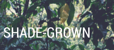 Shade-grown coffee
