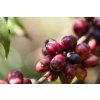 Etiopie Echemo - kávová třešeň