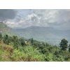 Okolí Mt. Elgon, východní Uganda