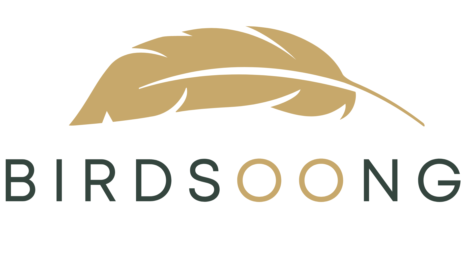 birdsoong.cz