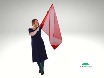 Prapor Letnic – červený průhledný