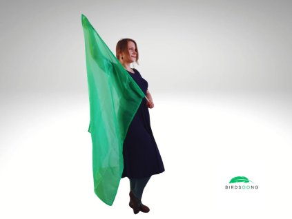 Prapor Obnovy – zelený průhledný