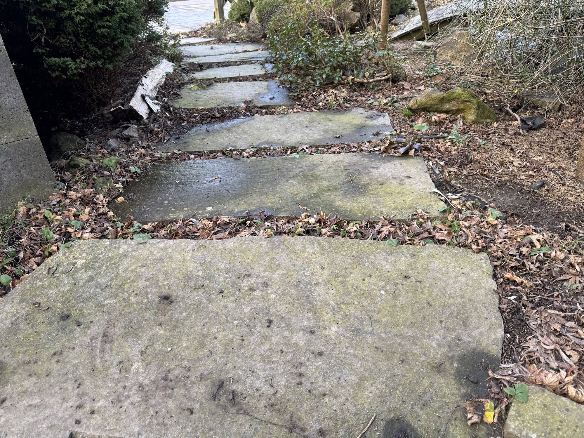 Údržba a péče o nášlapné kameny: Jak dosáhnout dlouhé životnosti a krásy