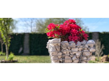 Gabion Trapez L 1 2 1