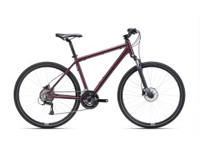 Krosové kolo CTM TRANZ 3.0 (Frame Size L (19"))