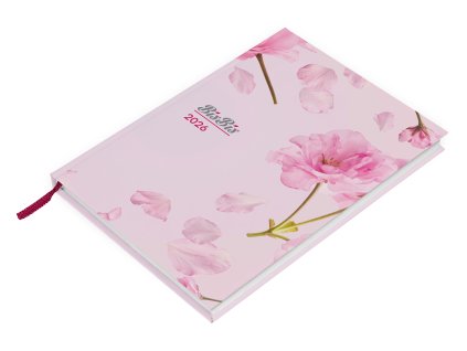 048 BISBIS diar25 VIZU