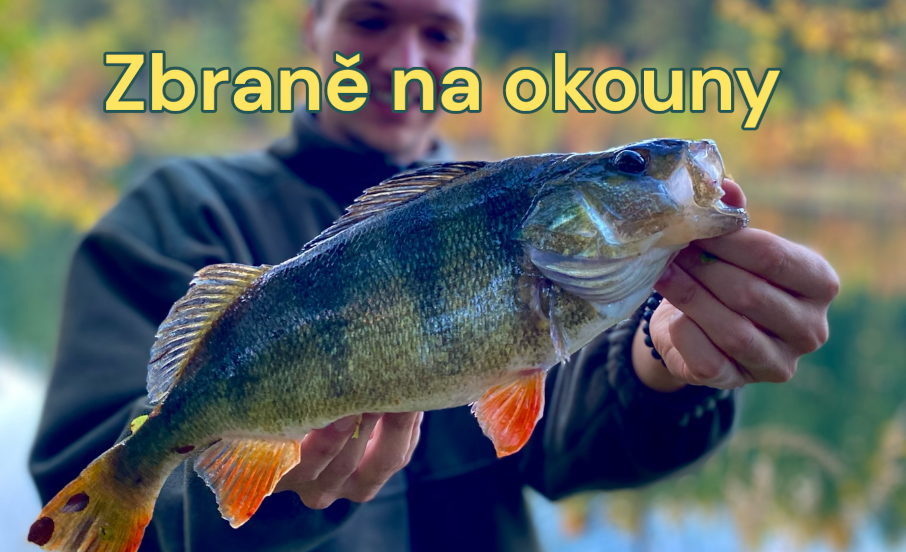 Top banner