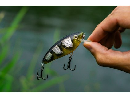 Perch