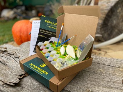 Bitefider designer box