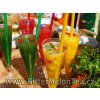 Thai Bitter-Melon Tea-doplněk stravy, mletý plod-bio