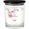 Vonná svíčka Spa Garden - sklo 260g bizuterie-top