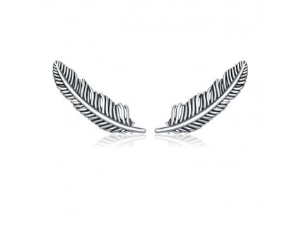 40215 nausnice silver feather stribro 925