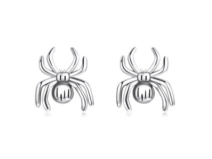 41253 puzetove nausnice pavouk stribro 925
