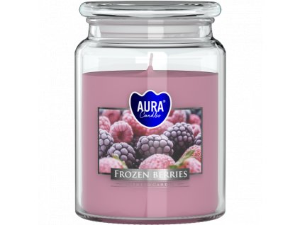 Vonná svíčka Frozen Berries bizuterie-top