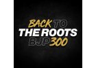 BJP 300: Back To The Roots