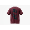 BJP Men's Off Grid T-Shirt, Maple Red