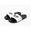 BJP Slides, V1