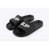 BJP Slides, V3