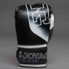 Joyagear Evolution Boxing Gloves, Black/White (Velikost 12oz)