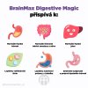 BrainMax Digestive Magic, Digestive Support, 100 vegetable capsules