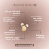 3.VH Turkesterone 60 kapslí info graphic2