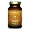 Lion's Mane - Health Force 90 Capsules