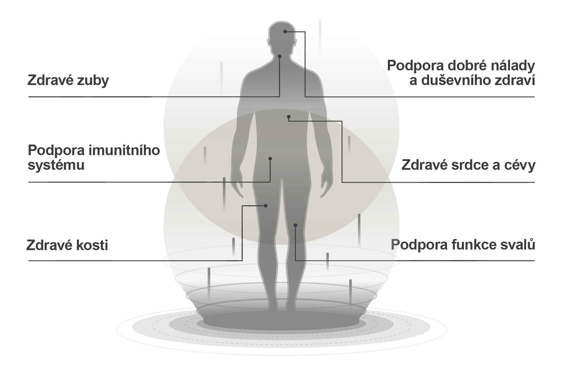 d3k2-info02.jpg
