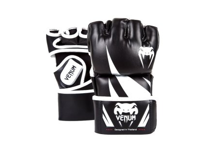gloves white background 6