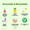 2061 2 brainmax quercetin bromelain kvercetin a bromelain 100 rostlinnych kapsli