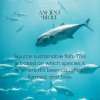 5.sustainable fishing ancient brave