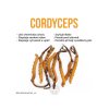 28746 1 cordyceps