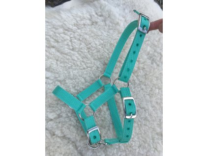 D45554EC 1ADF 41CF 8EFC 97604F621D69