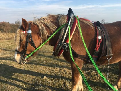 DAEB08D3 7306 423A A8C9 CD77FBE57CD9