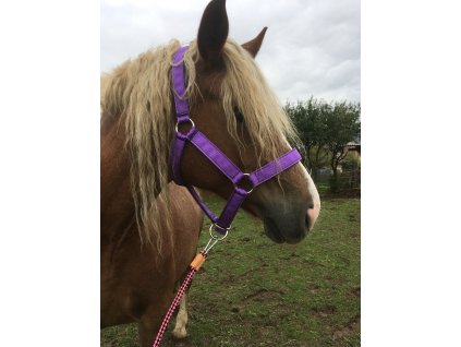 DF2FEEEB 8FCB 43F7 9E2A 3C93C9B75074