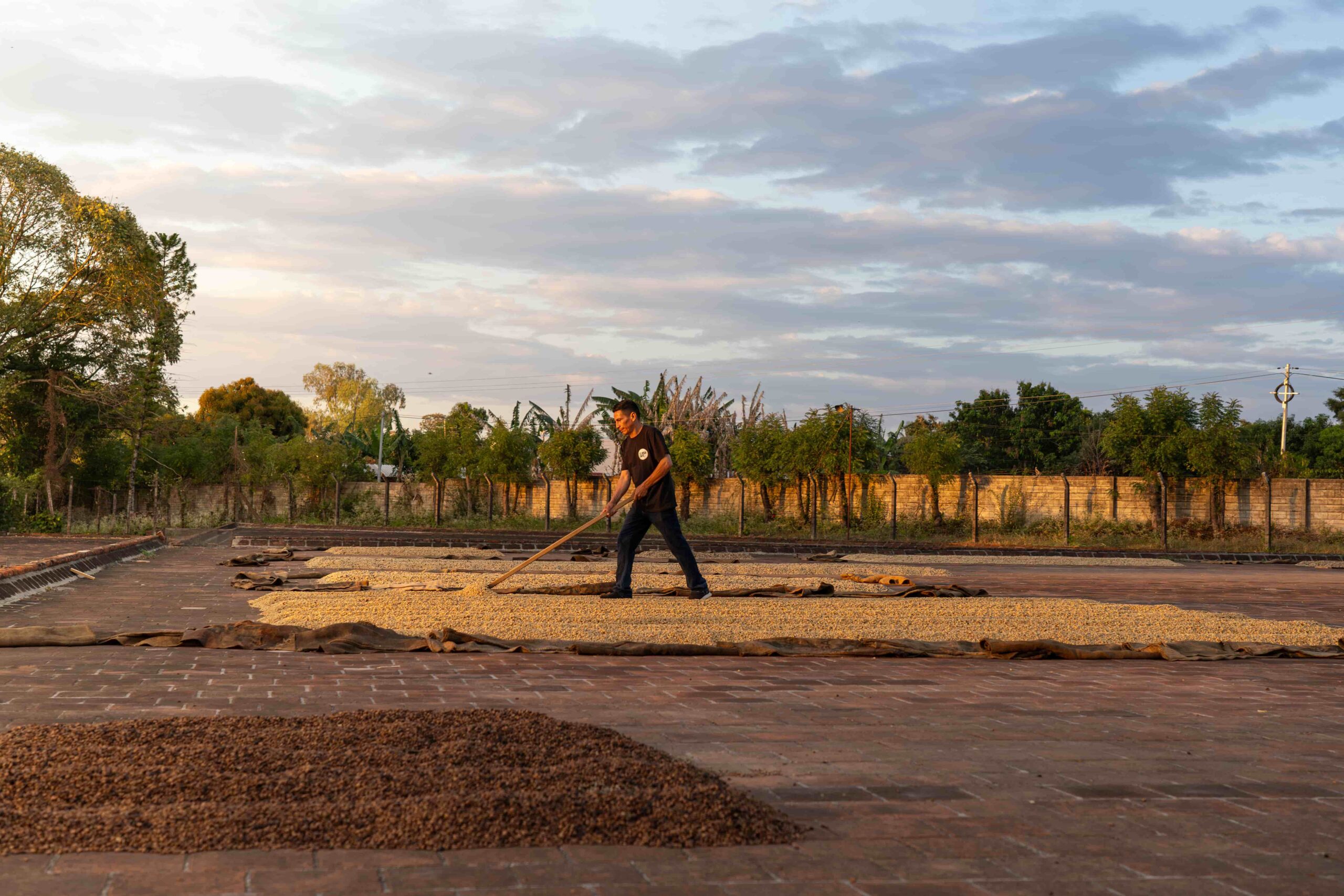 Estacion-de-secado-de-la-Finca-Villa-Espana-de-los-hermanos-Mena-en-El-Salvador-scaled