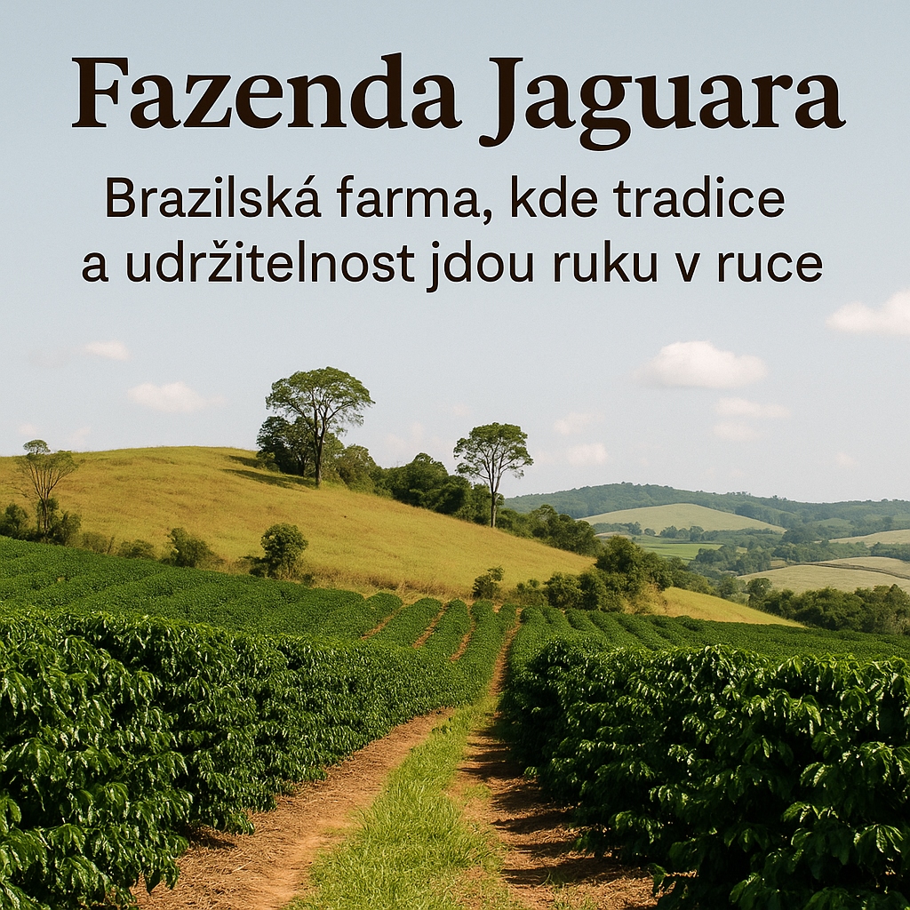 Fazenda Jaguara: Brazilská farma, kde tradice a udržitelnost jdou ruku v ruce
